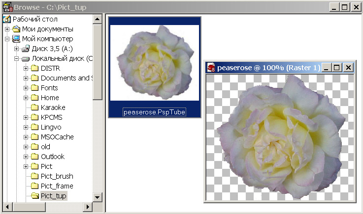 Рис. 2.
Открытие тюбика в окне Browse