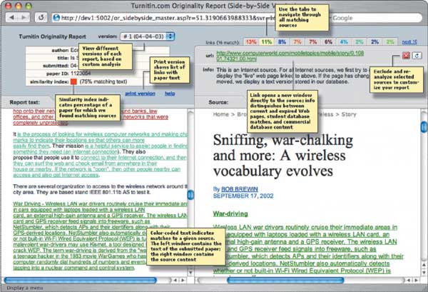 Рис. 3. Пример работы программы Turnitin tool