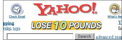 Рис. 4. Фрагмент страницы с баннером