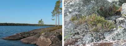 Рис. 7. Объем файла формата JPEG может варьироваться в широких пределах в зависимости