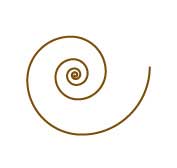 Рис. 28. Исходное изображение первой спирали