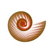 Рис. 32. Окончательный внешний вид blend-объекта на основе двух наложенных спиралей