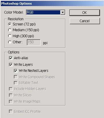 Рис. 78. Окно Photoshop Options