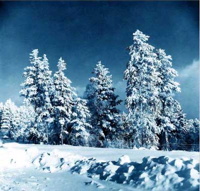 Рис. 38. Исходное изображение