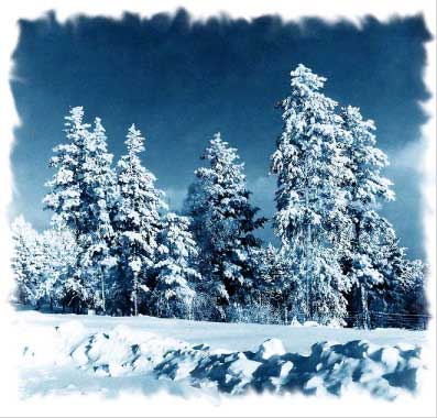 Рис. 40. Исходная фотография с рамкой