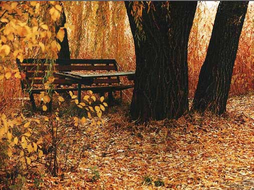 Рис. 47. Исходное изображение