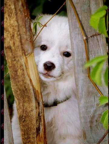 Рис. 56. Исходное изображение