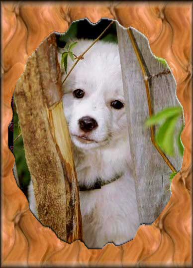 Рис. 57. Результат наложения на изображение созданной фигурной рамки