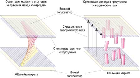 Рис. 2. Структура TN-ячейки