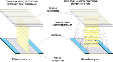 Рис. 3. Структура IPS-ячейки