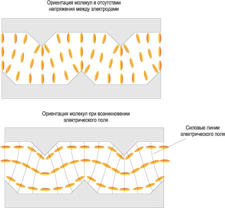 Рис. 4. Доменная структура MVA-ячейки