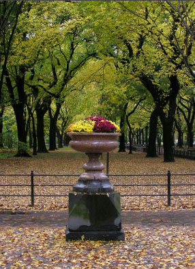 Рис. 10. Окончательный внешний вид фотографии после выпрямления