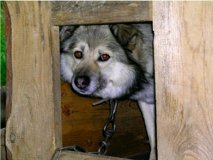 Рис. 28. Исходное изображение