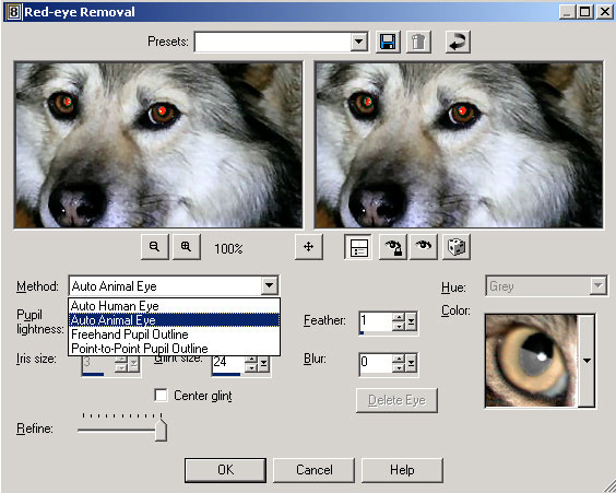 Рис. 29. Выбор метода Auto Animal Eye