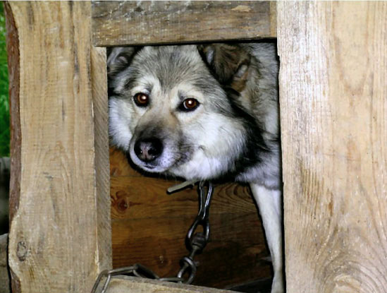 Рис. 31. Окончательный внешний вид изображения после устранения эффекта красных глаз