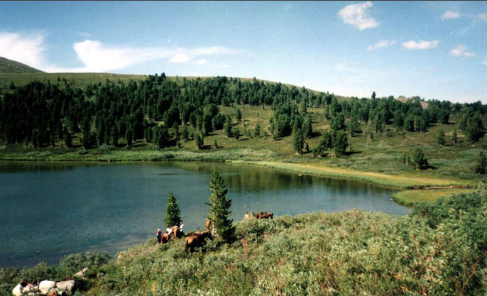 Рис. 35. Исходное изображение