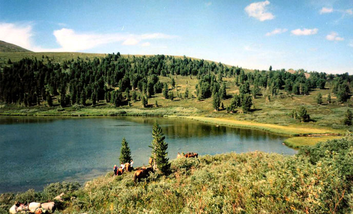 Рис. 36. Внешний вид изображения после автоматической фотокоррекции за один шаг