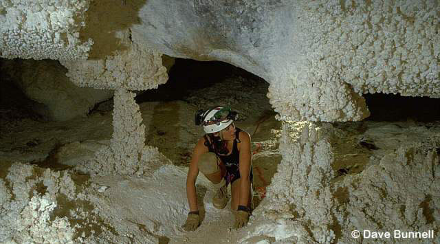 Рис. 40. Исходное изображение