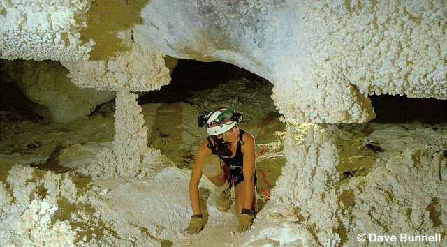 Рис. 44. Окончательный внешний вид изображения