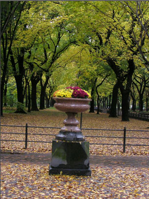 Рис. 5. Исходное изображение