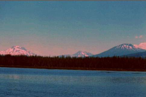 Рис. 50. Внешний вид изображения после автоматической коррекции цветового баланса