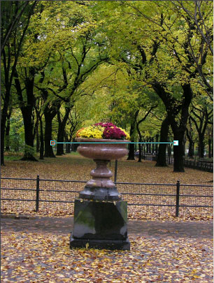 Рис. 6. Внешний вид фотографии после активизации инструмента Straighten