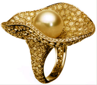 Рис. 67. Внешний вид кольца после окончания цветовой коррекции