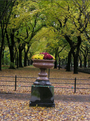 Рис. 7. Настройка параметров выпрямления