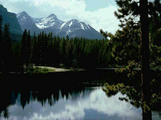 Рис. 74. Исходное изображение