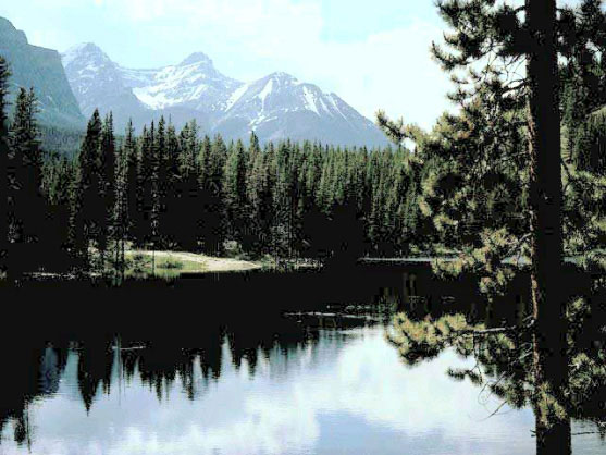 Рис. 76. Окончательный внешний вид фотографии