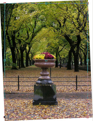 Рис. 9. Выделение контура для обрезки фотографии