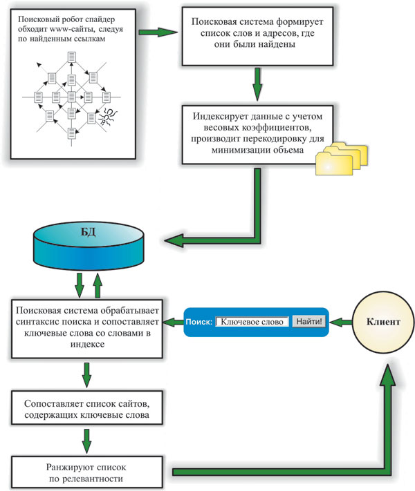 Роботы-пауки просматривают информационное наполнение Web-страниц и создают индексированную базу поиска по ключевым словам, а затем по запросу пользователя выдают ранжированный по релевантности список сайтов