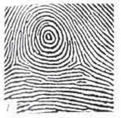 Пример простого завиткового узора — круга