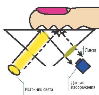 Строение оптического сенсора