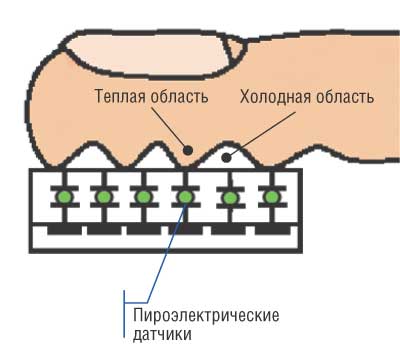 Строение термического сенсора