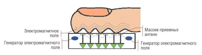 Строение сенсоров электромагнитного поля