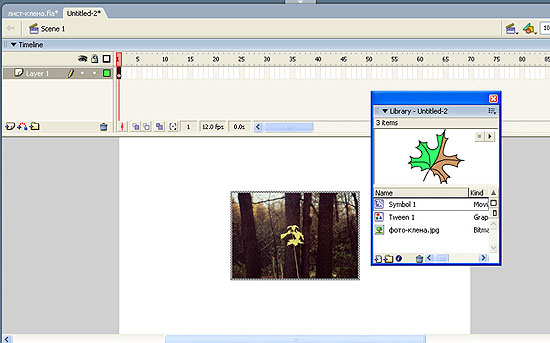 Импортируем фотографию на сцену основного фильма