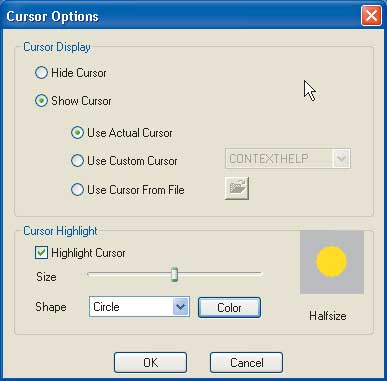 Рис. 13. Панель настройки курсора