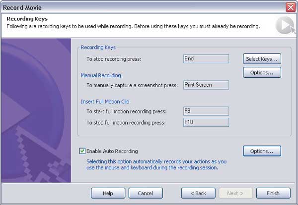Рис. 7. Вкладка Record Movie, определяющая режим записи