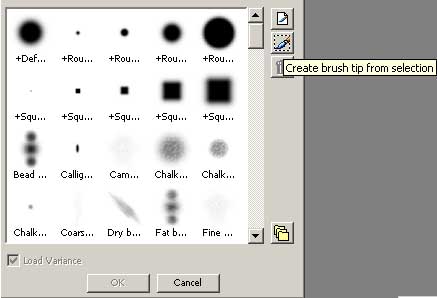 Кнопка создания новой кисти на основе выделенной области
