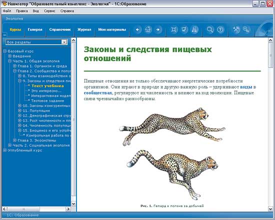 1С:Школа. Экология, 10-11 кл.