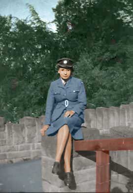 Рис. 45. Внешний вид фотографии после закраски всех элементов снимка