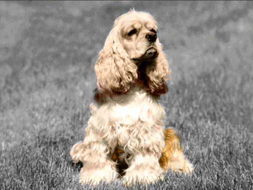 Рис. 57. Окончательный внешний вид комбинированного изображения