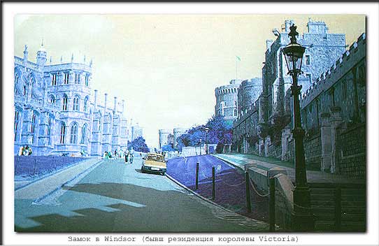 Рис. 6. Негатив изображения