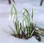 Рис. 60. Исходная фотография