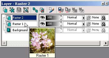 Рис. 61. Первоначальное состояние палитры Layer