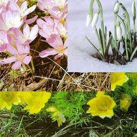 Рис. 62. Внешний вид изображения после перемещения слоев