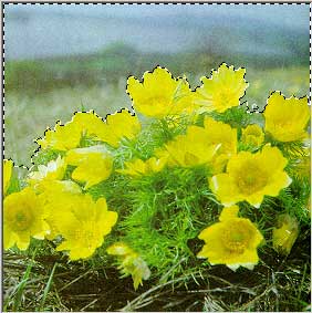 Рис. 64. Выделение фрагмента изображения на слое Backgroung