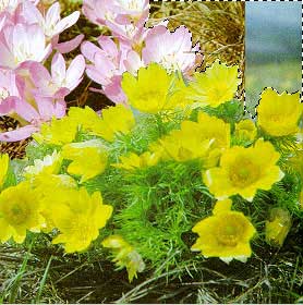 Рис. 68. Выделение фрагмента изображения