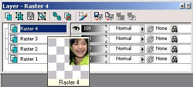 Рис. 73. Первоначальное состояние палитры Layer